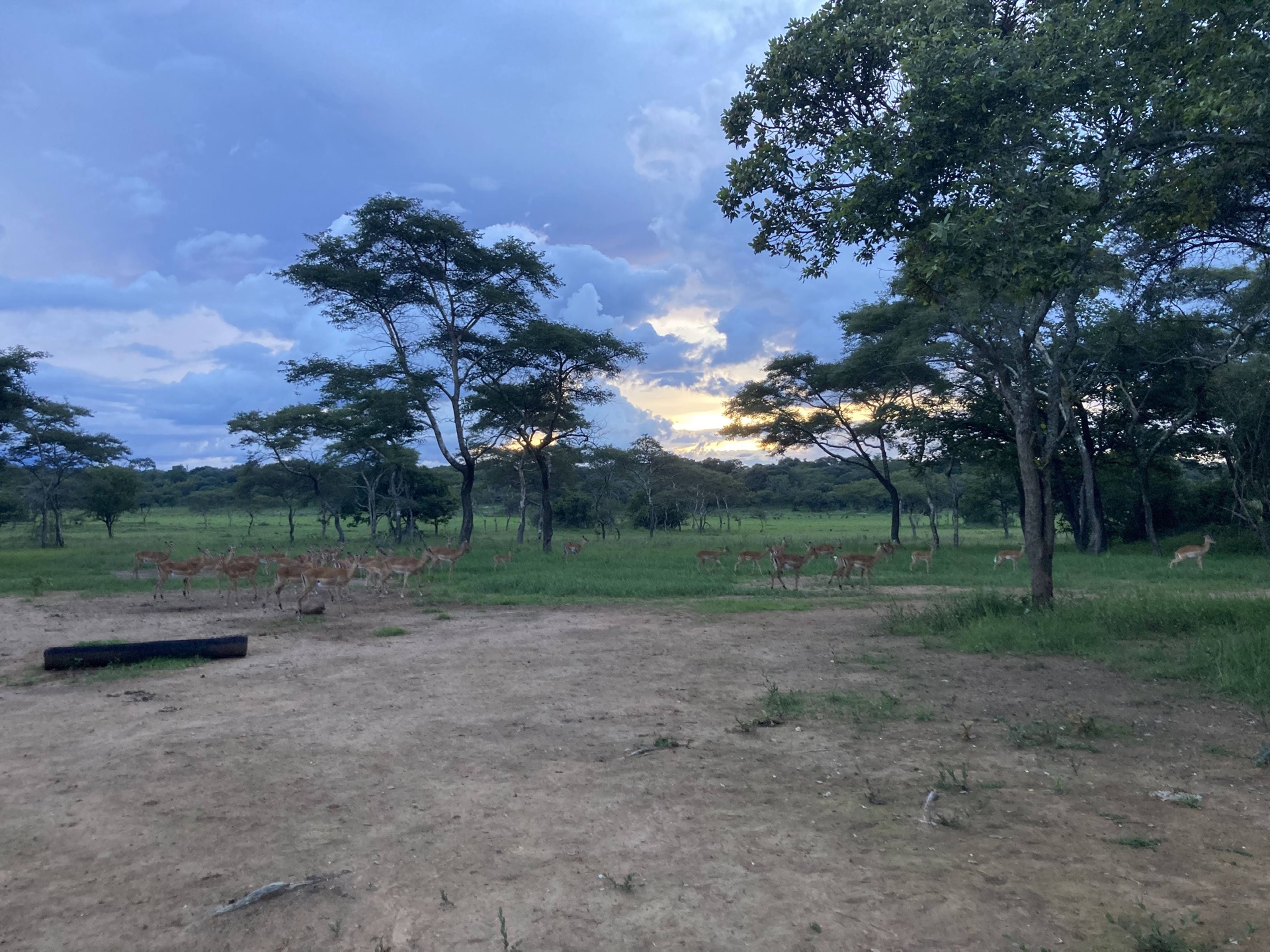 Abenddämmerung im Copperbelt