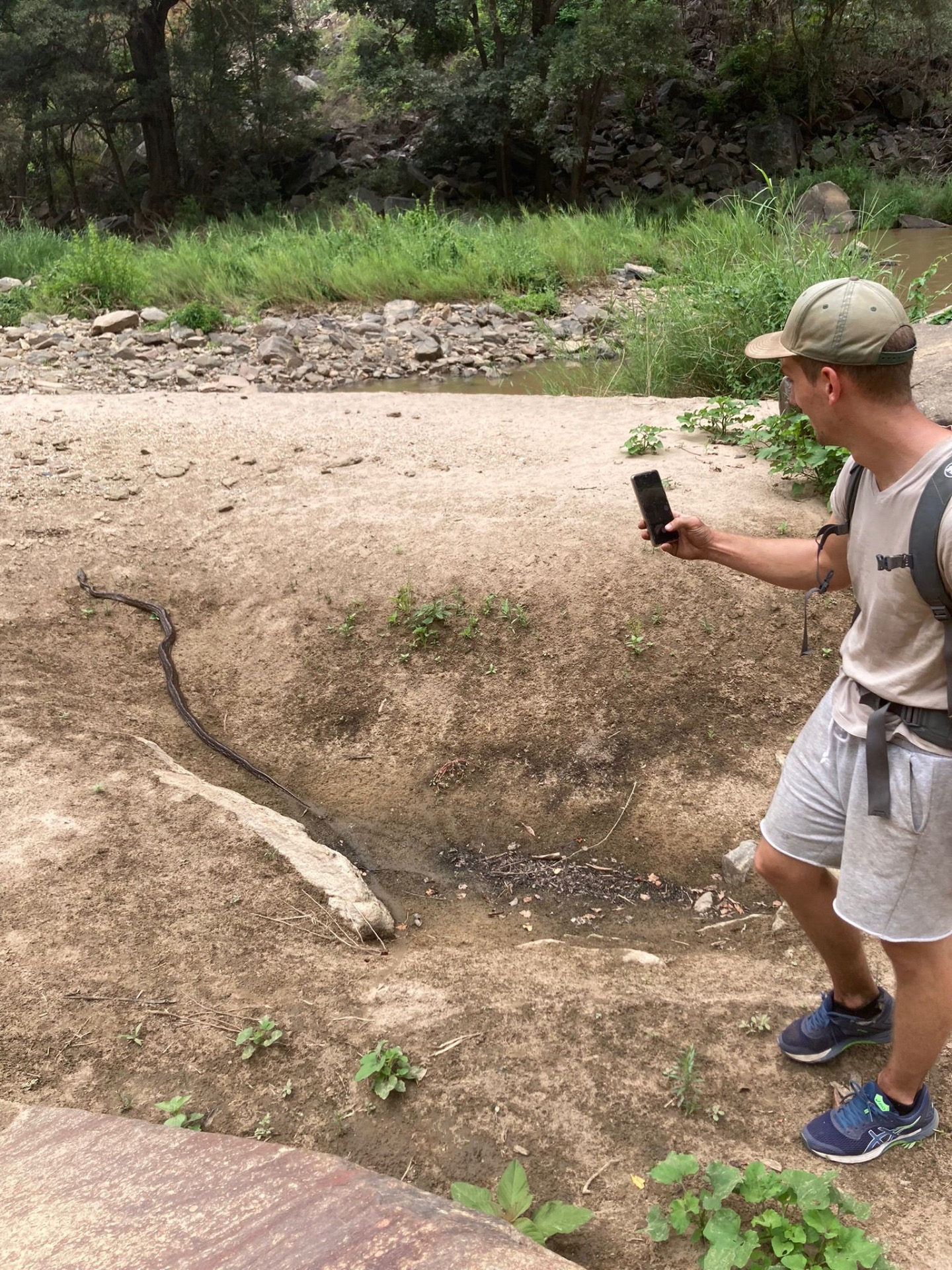 Beobachten der 3meter Schlange